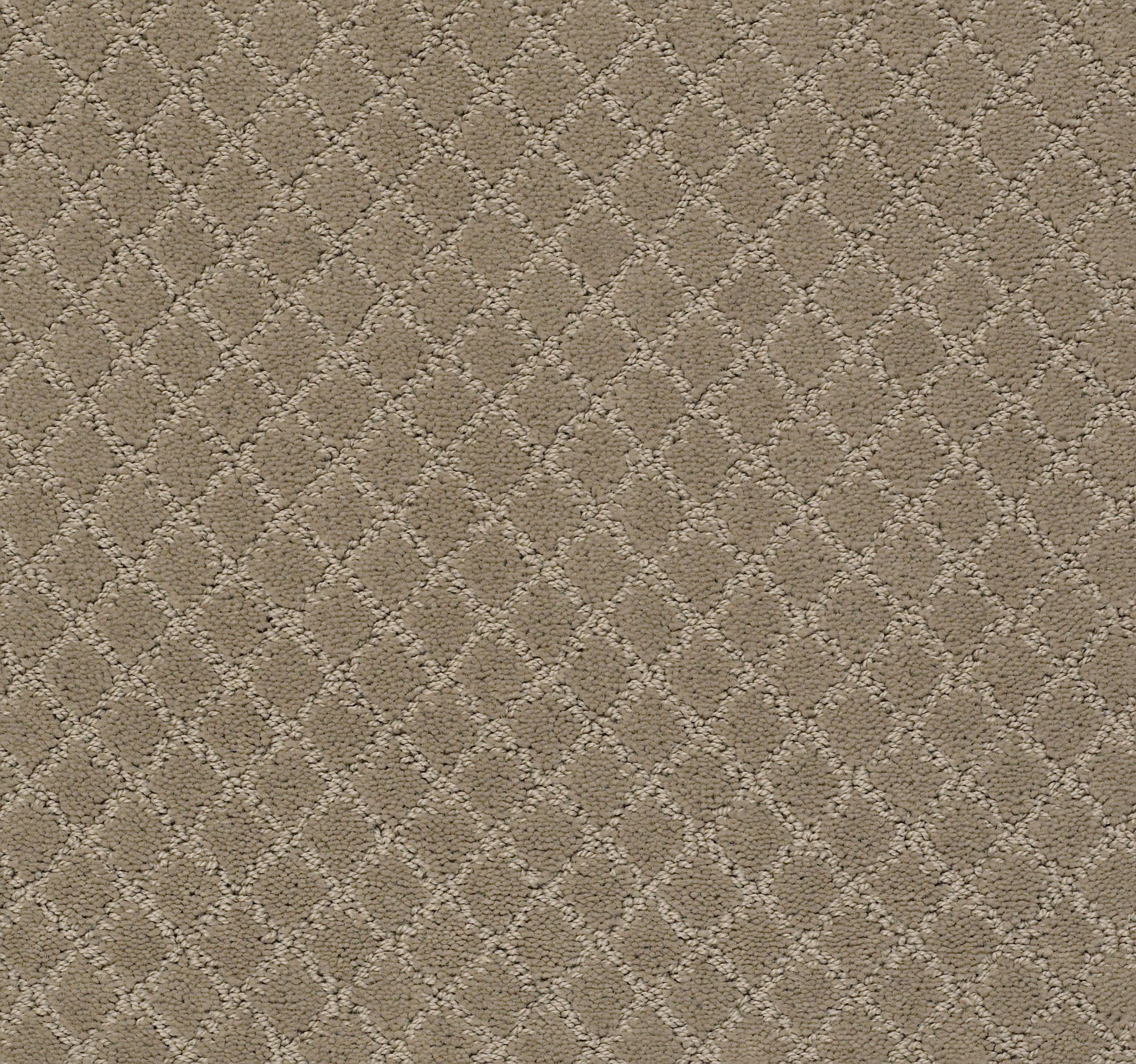 Off Leash-Driftwood-ZZL80_00712