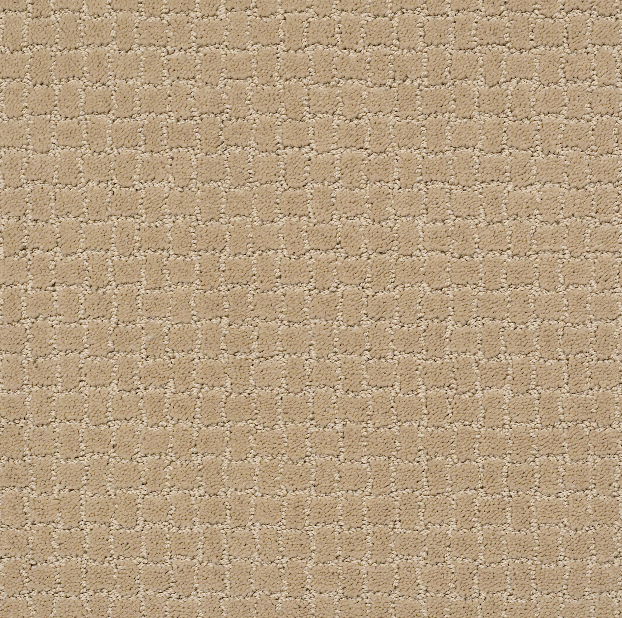 Homebound-Monterey-ZZL81_00115