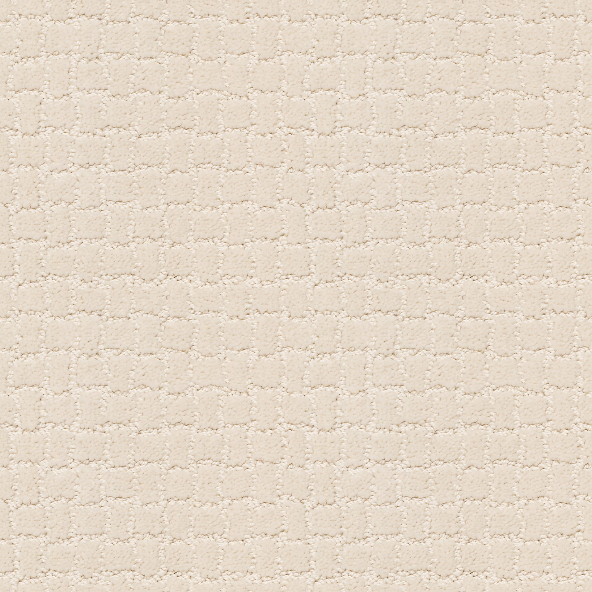 Homebound-Capri Coast-ZZL81_00181