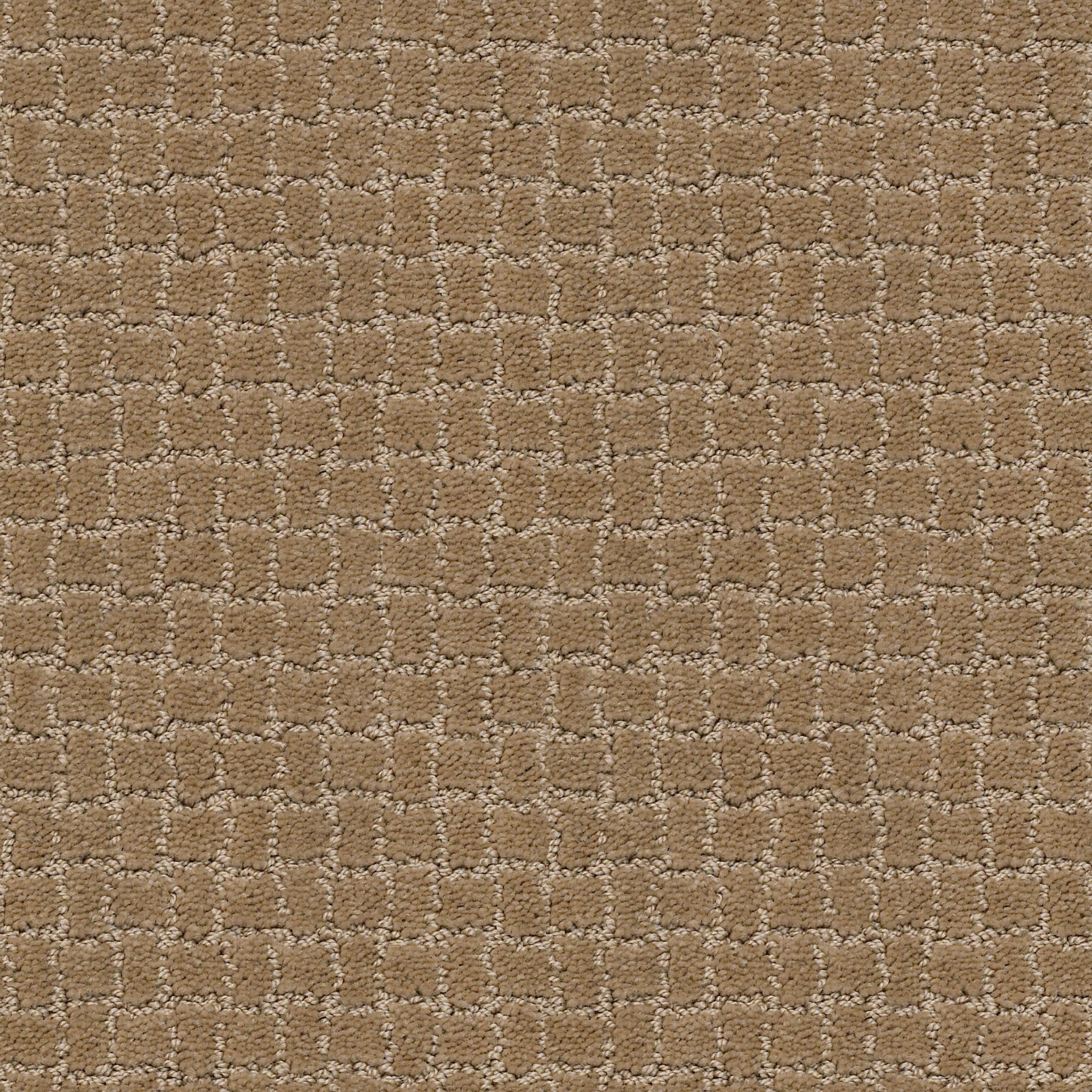 Homebound-Peanut Shell-ZZL81_00186