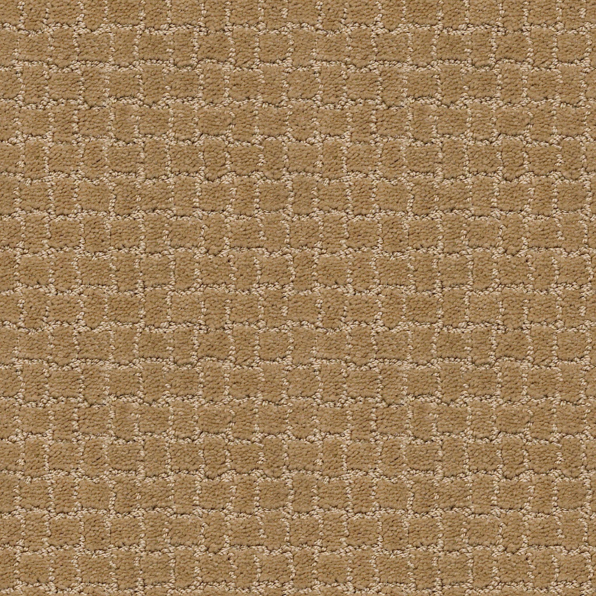 Homebound-Golden Straw-ZZL81_00224