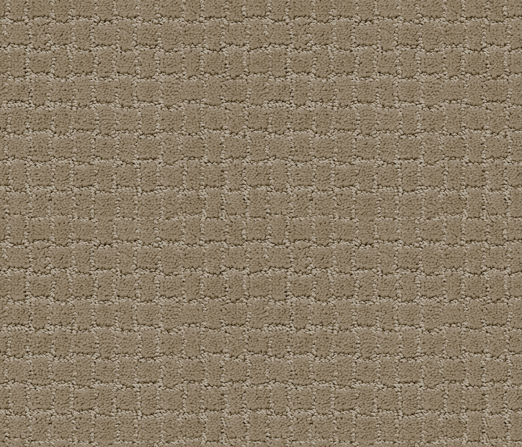 Homebound-Driftwood-ZZL81_00712