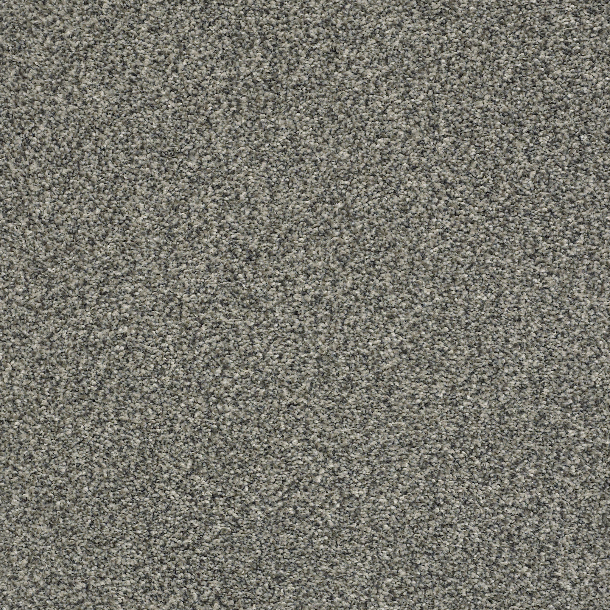 chewbarka_i leeds carpets zzl8700546 Shaw Builder Flooring